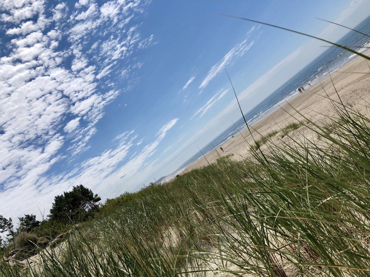 Vilatekila-Lili Apartments Palanga Bagian luar foto